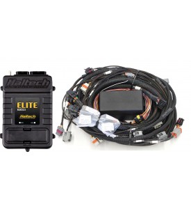 Elite 2000 GM GEN III LS1 & LS6 non DBW Terminated Harness ECU Kit  WBC1/2 CAN O2 Wideband Controller ready (Controller and sensor(s) not included) Suits factory EV1 injector connectors