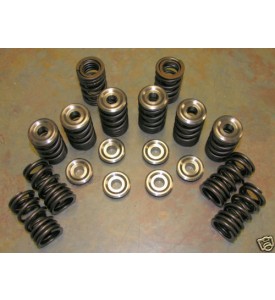 M10 / M30 Dual Valve Springs for Performance Street and Turbo use Up to 8000 RPM Use
