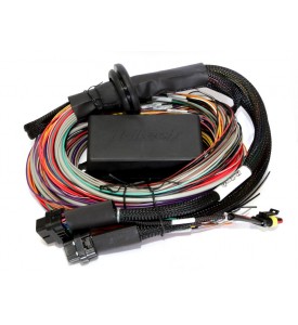 Haltech PS1000 Mazda 13B Terminated Harness Only
Includes flying lead ignition harness.  Suits Square Bosch EV1 injector connectors