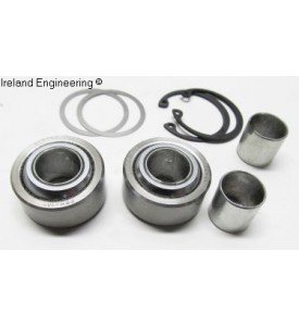 Replacement Spherical Bearing Kit for IE Camber Plates